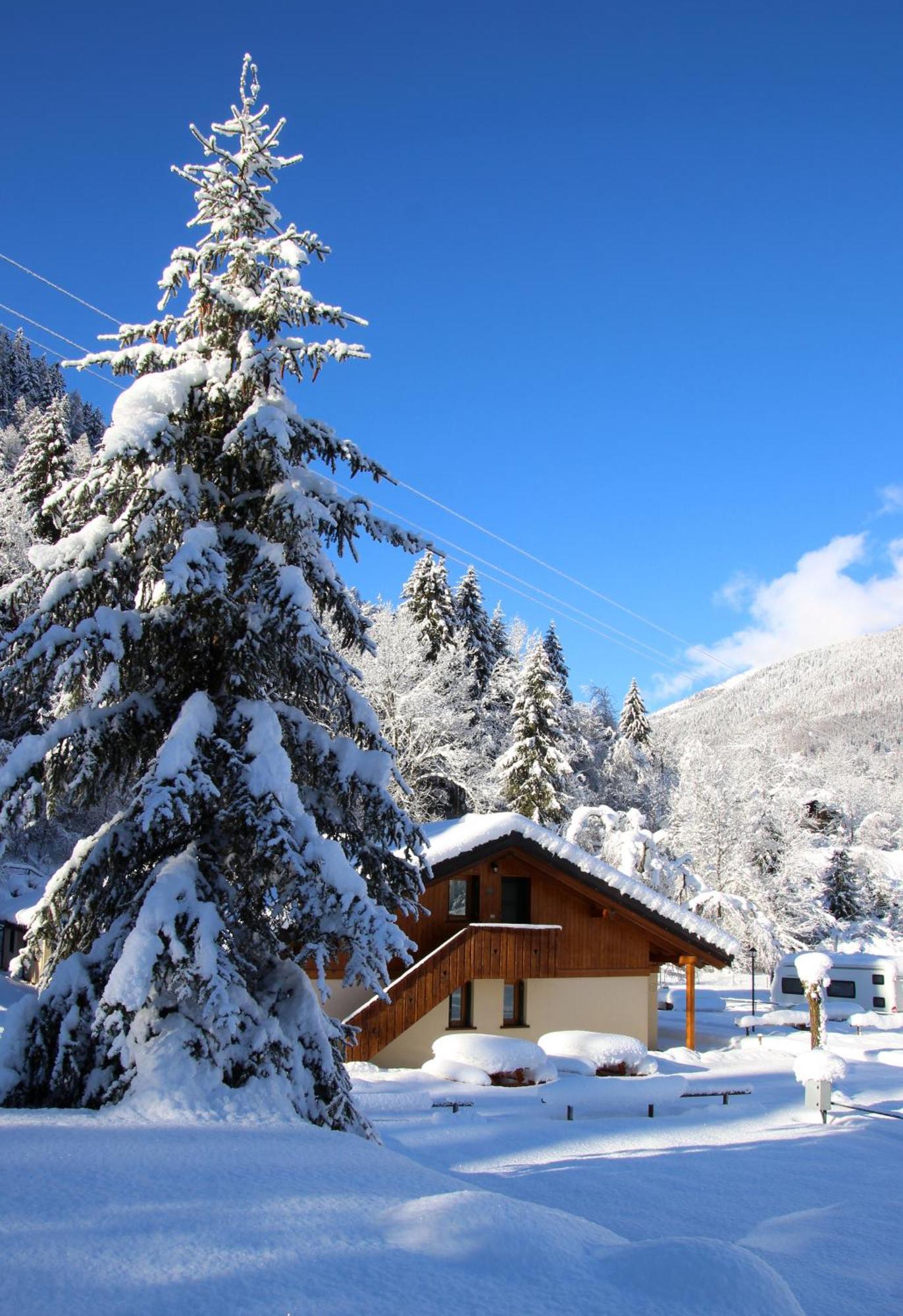 Temù Chalet Presanella מראה חיצוני תמונה